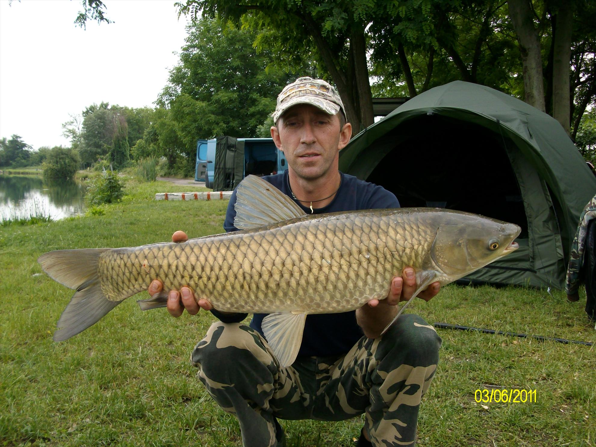 florian tanasa - alim0330.JPG